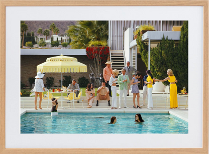 Kaufmann Desert House - 320 x 490, Scandanavian image