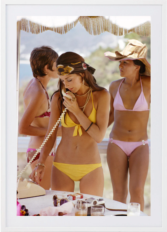 Social Call - 490 x 730, White image